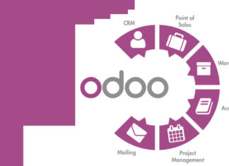 Peritación informática de Odoo