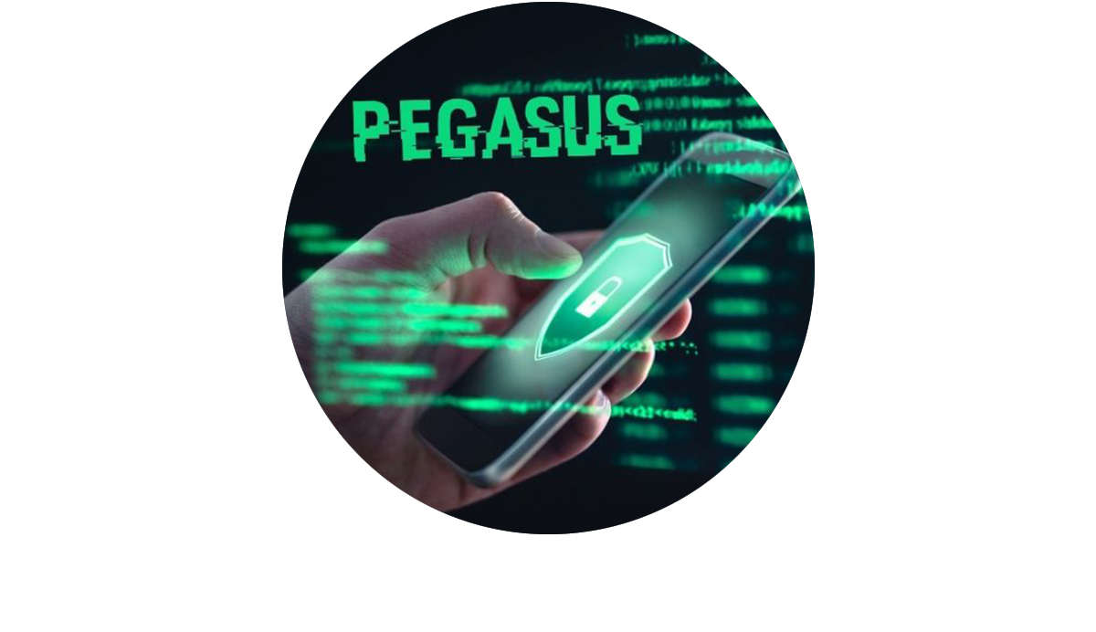 Servicio Detección Pegasus