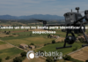 Cuando un dron no basta para identificar a un sospechoso Imagen de dron sobrevolando el campo